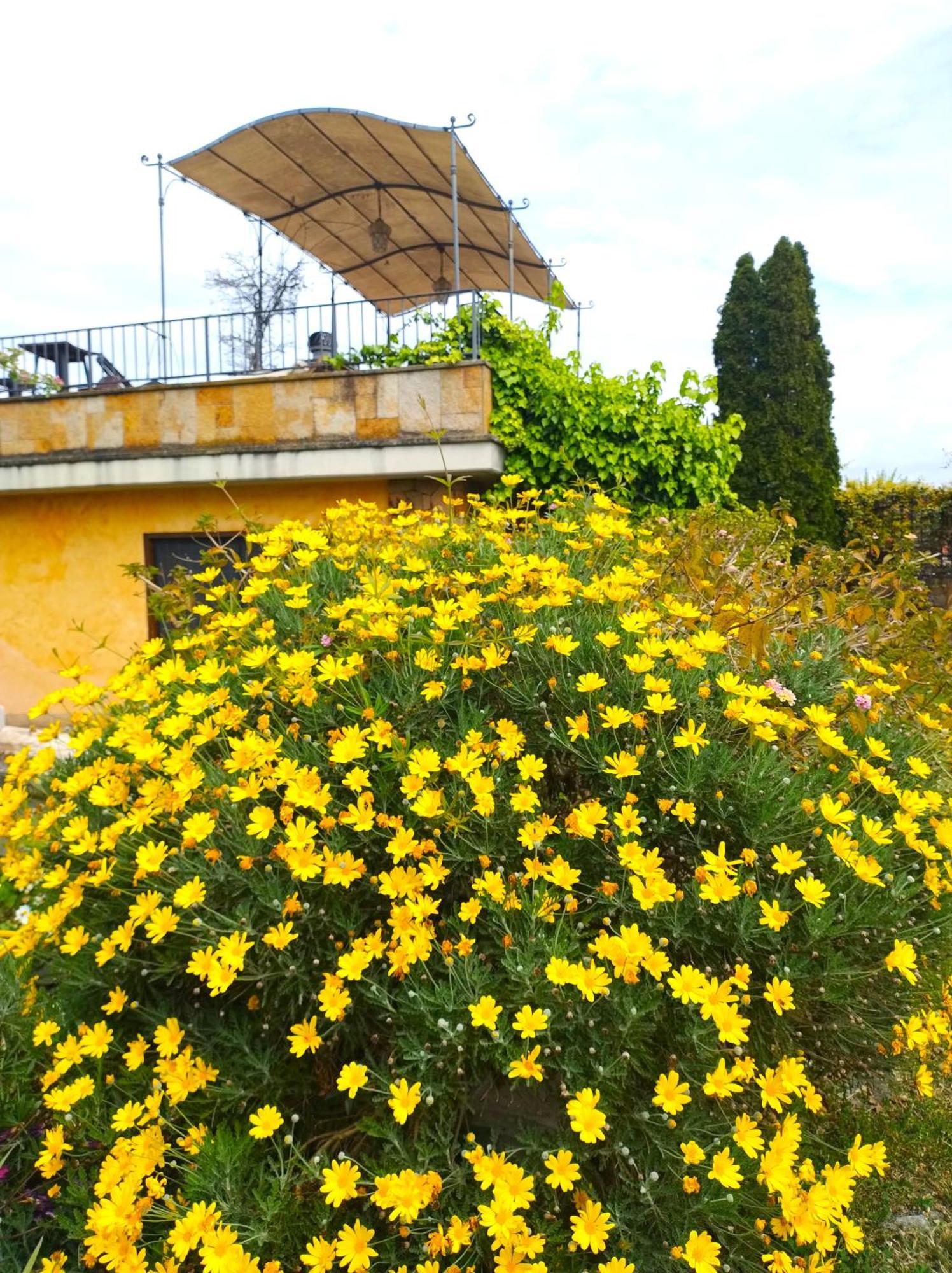 Couette-café La Valle Dei Casali Con Piscina E Natura A