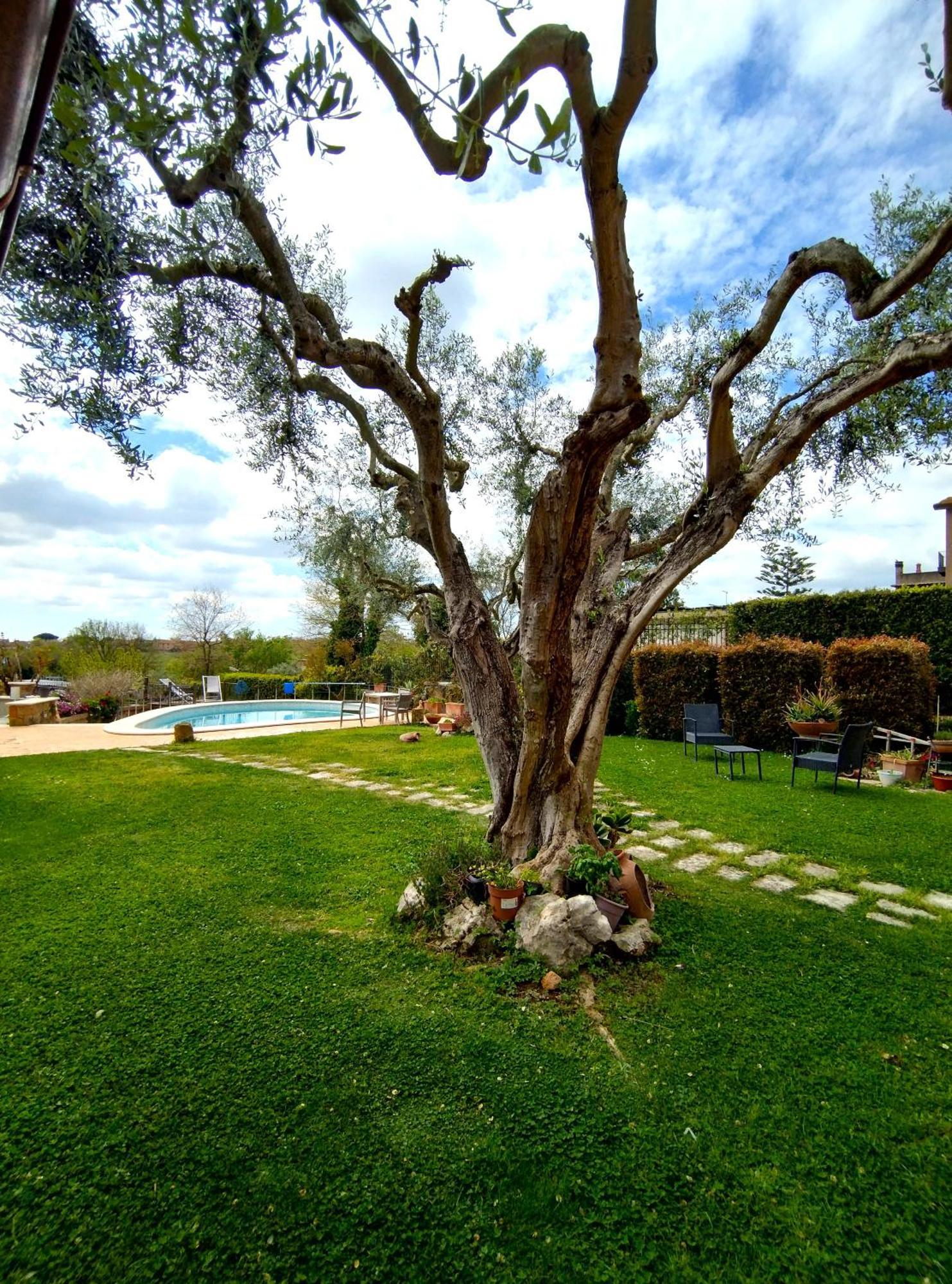 Couette-café La Valle Dei Casali Con Piscina E Natura A Rome
